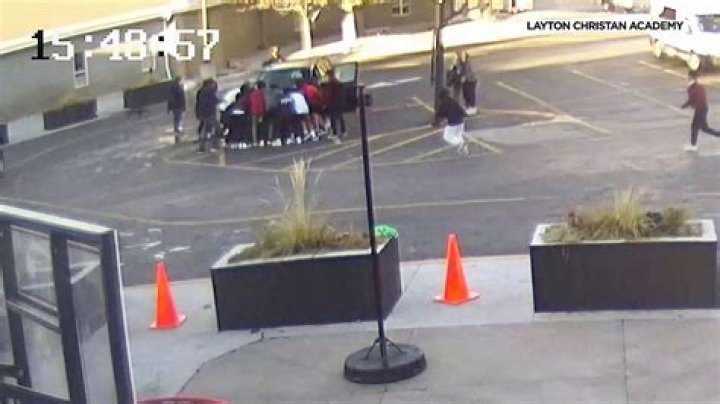 Are Kaveh And Alhaitham Dating? Relationship Analysis